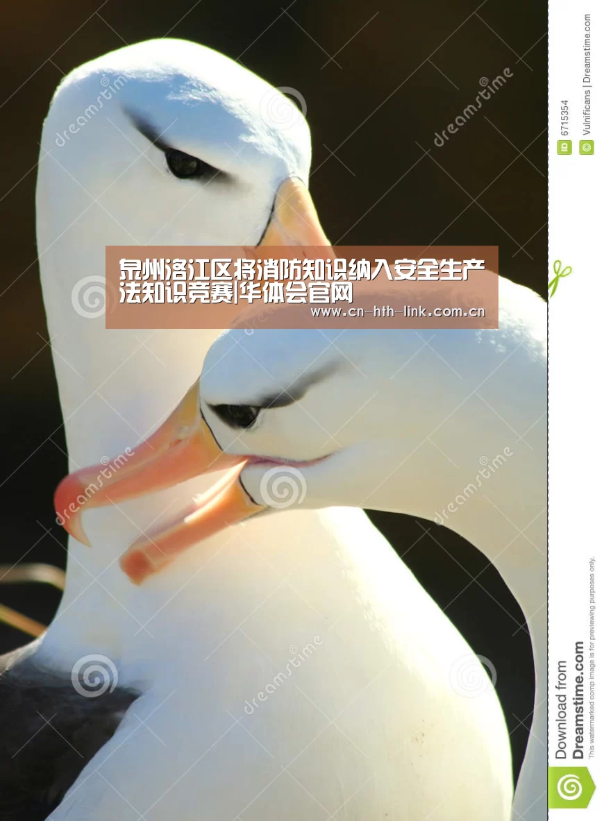 华体会
