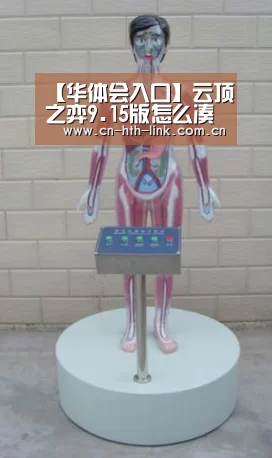 【华体会入口】云顶之弈9.15版怎么凑齐9剑士攻略 6剑士后需三把破败(图3) 华体会官网