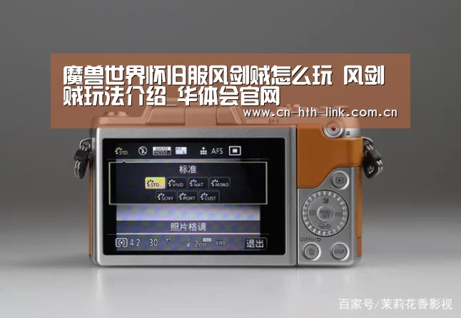 魔兽世界怀旧服风剑贼怎么玩 风剑贼玩法介绍_华体会官网(图2) 华体会入口