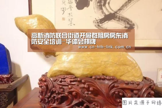 高新消防联合街道开展群租房房东消防安全培训-华体会棋牌(图4) 华体会棋牌