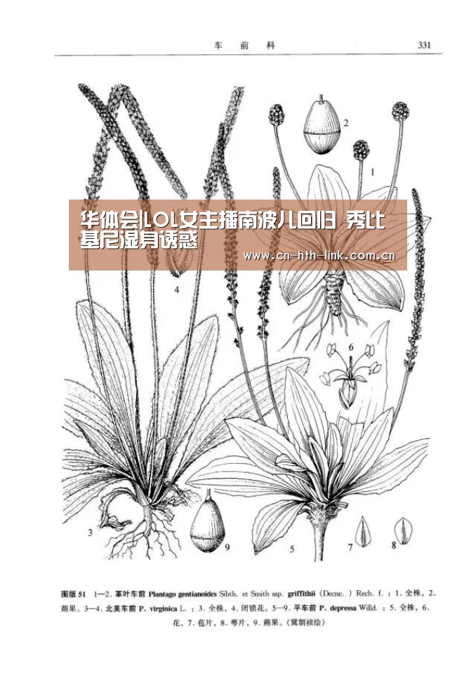 华体会|LOL女主播南波儿回归 秀比基尼湿身诱惑(图1) 华体会