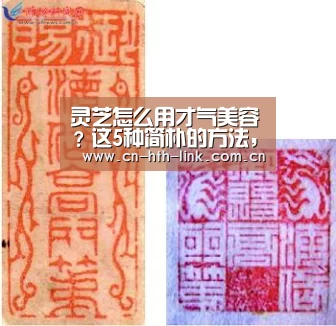 灵芝怎么用才气美容?这5种简朴的方法,许多人都市_华体会入口(图1) 华体会官网