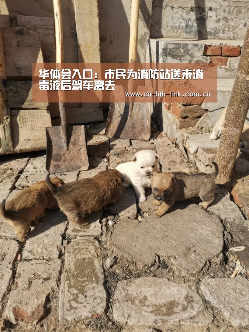 华体会棋牌